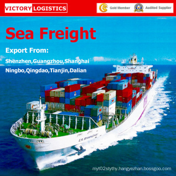 Freight Agent/Shipping Freight/Sea Freight/ From China to Worldwide